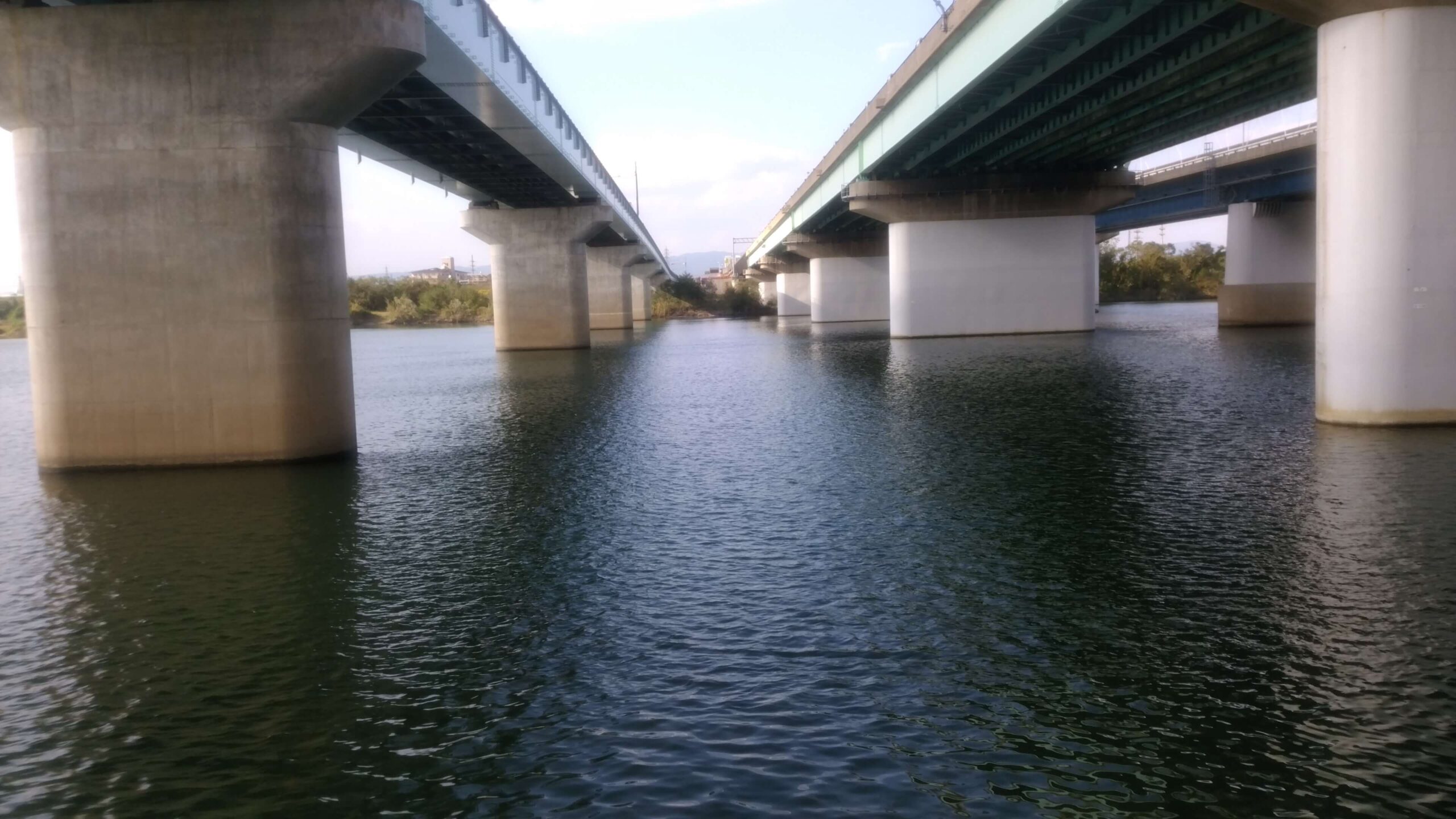 お久しぶりです