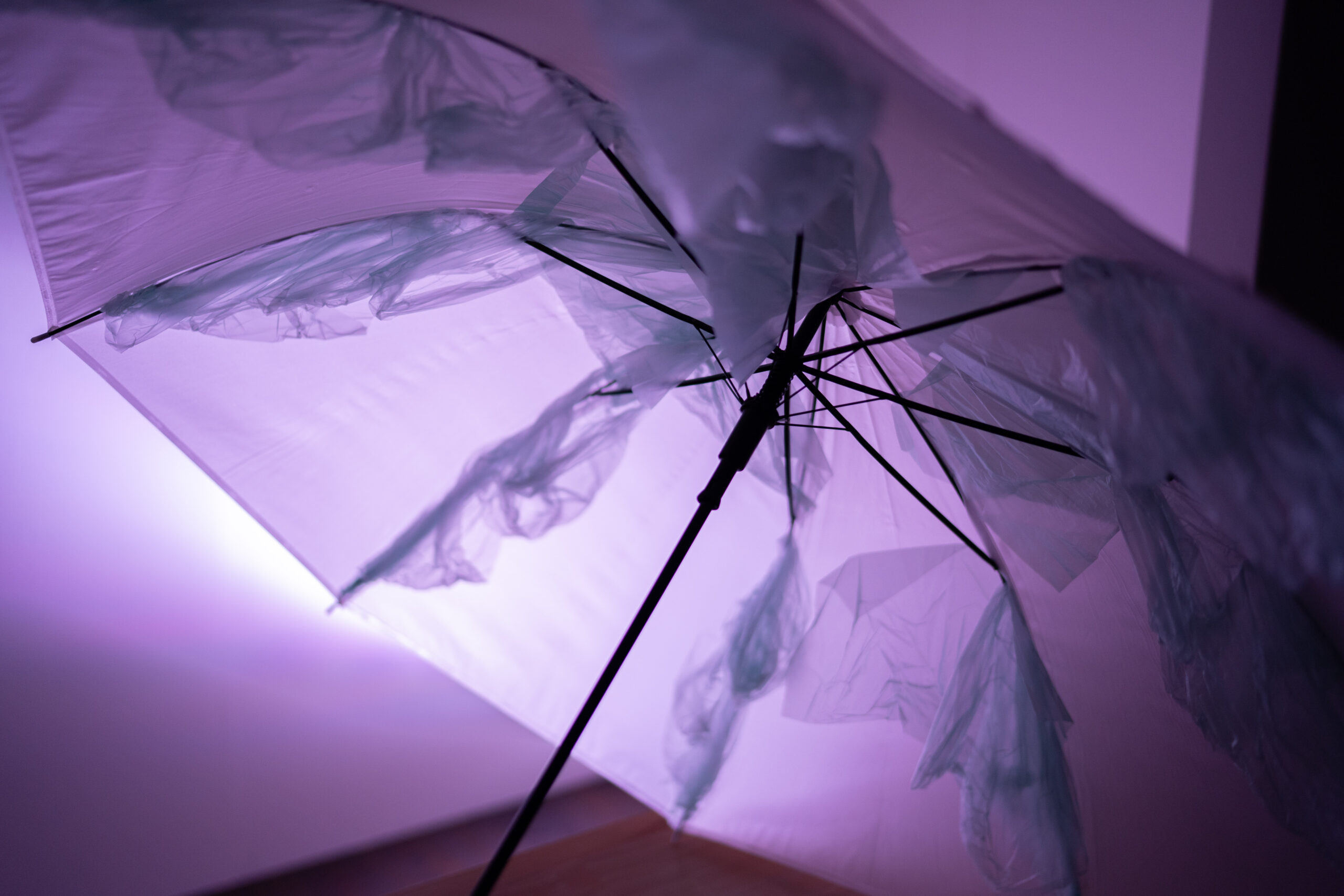 004便「レ-ガデラ」劇評・記録写真